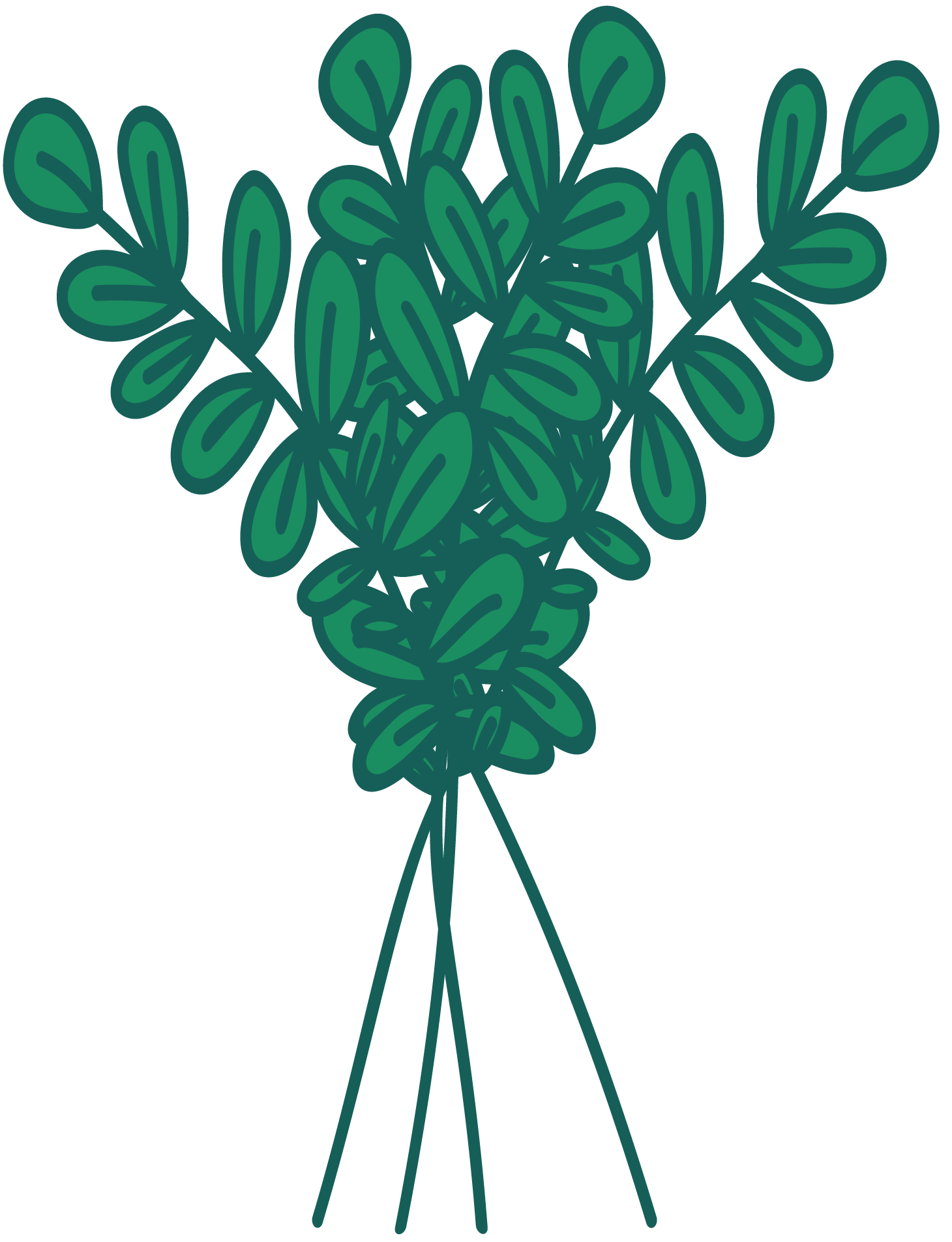 Website_Eucalyptus Icon - Winter