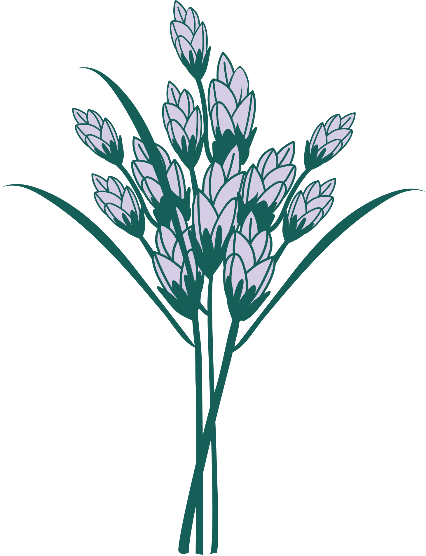 Website_Lilacs Icon - Summer